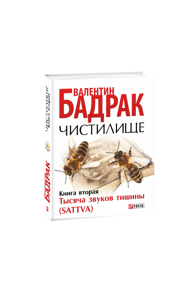 Чистилище. Книга 2. Тысяча звуков тишины